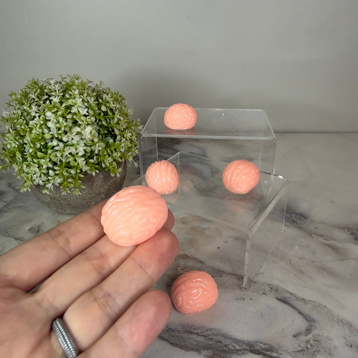 Squishy Toy - Ice Ice Baby Brains